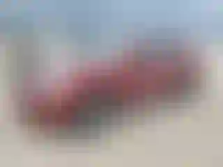 Vehicle Image- 2012 Nissan Rogue