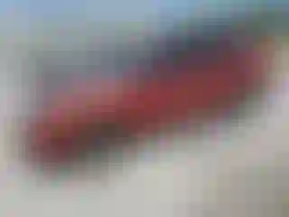 Vehicle Image- 2011 Nissan Rogue
