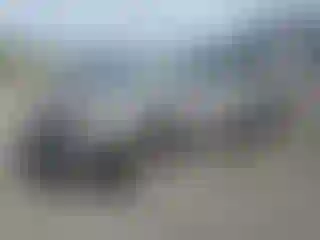 Vehicle Image- 2011 Nissan Rogue