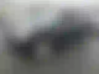 Vehicle Image- 2010 Nissan Rogue