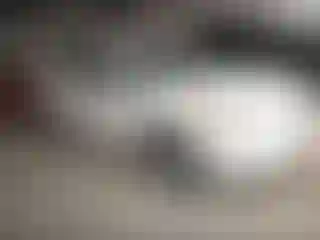 Vehicle Image- 2010 Nissan Rogue