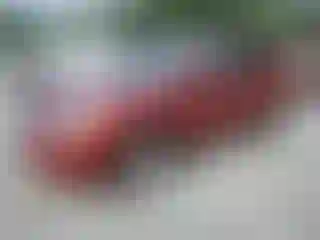 Vehicle Image- 2013 Nissan Rogue