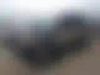 Vehicle Image- 2012 Nissan Rogue