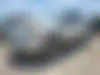 Vehicle Image- 2010 Nissan Rogue