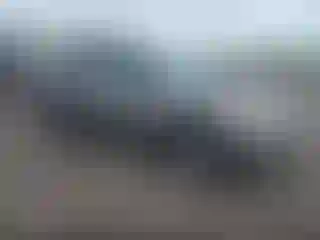 Vehicle Image- 2010 Nissan Rogue
