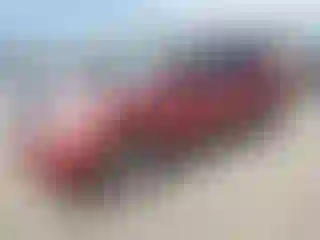 Vehicle Image- 2013 Nissan Rogue