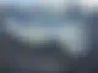 Vehicle Image- 2020 Nissan Rogue