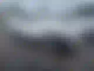 Vehicle Image- 2020 Nissan Rogue
