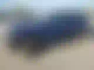 Vehicle Image- 2020 Nissan Rogue