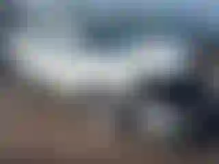 Vehicle Image- 2020 Nissan Rogue