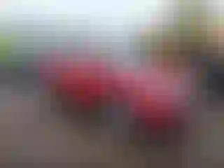 Vehicle Image- 2017 Nissan Rogue