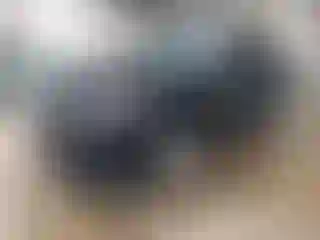 Vehicle Image- 2020 Nissan Rogue