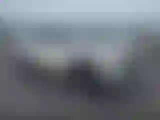 Vehicle Image- 2021 Nissan Rogue
