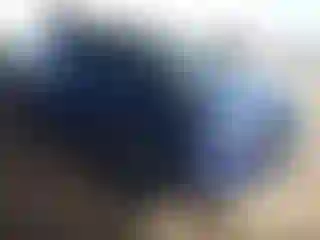 Vehicle Image- 2021 Nissan Rogue