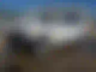 Vehicle Image- 2021 Nissan Armada
