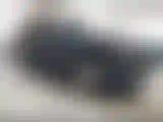 Vehicle Image- 2020 Nissan Armada