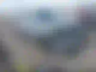 Vehicle Image- 2019 Nissan Armada