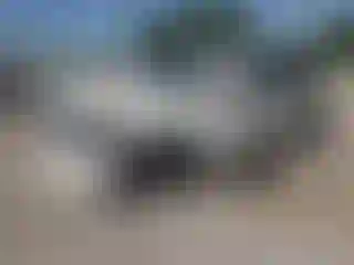 Vehicle Image- 2020 Nissan Armada
