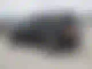 IMPORTOWO.pl