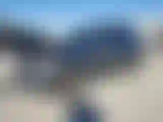 Vehicle Image- 2020 Nissan Armada