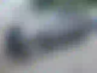 Vehicle Image- 2020 Nissan Armada