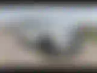 Vehicle Image- 2020 Nissan Armada