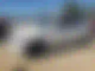 Vehicle Image- 2020 Nissan Armada