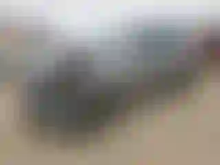 Vehicle Image- 2019 Nissan Armada