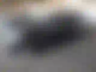 Vehicle Image- 2019 Nissan Armada