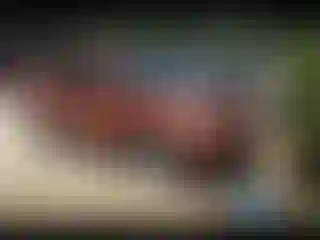 Vehicle Image- 2004 Nissan Murano
