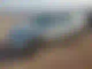 Vehicle Image- 2004 Nissan Murano