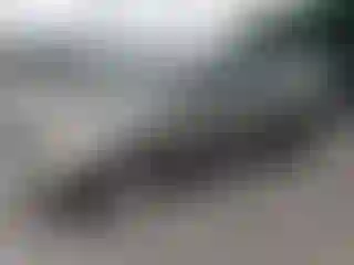 Vehicle Image- 2004 Nissan Murano