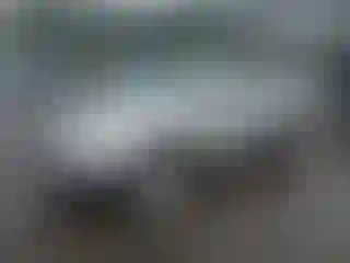 Vehicle Image- 2005 Nissan Murano