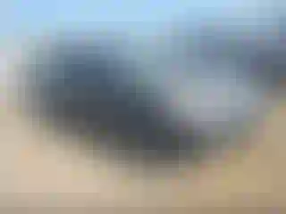 Vehicle Image- 2004 Nissan Murano