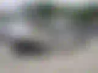 Vehicle Image- 2005 Nissan Murano