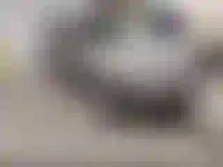 Vehicle Image- 2004 Nissan Murano