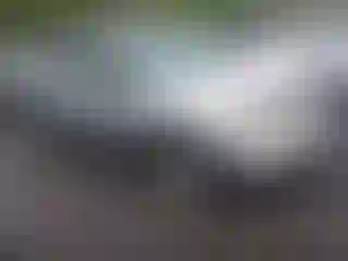 Vehicle Image- 2003 Nissan Murano