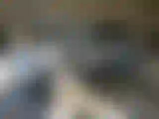 Vehicle Image- 2004 Nissan Murano