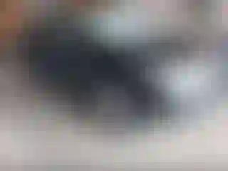 Vehicle Image- 2009 Nissan Murano