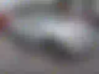 Vehicle Image- 2010 Nissan Murano