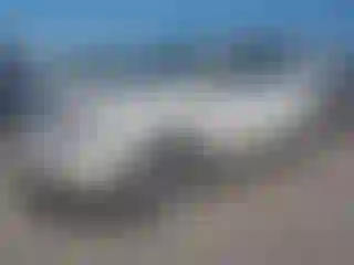 Vehicle Image- 2010 Nissan Murano