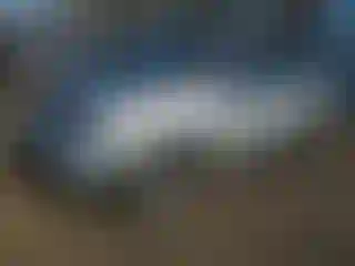 Vehicle Image- 2010 Nissan Murano