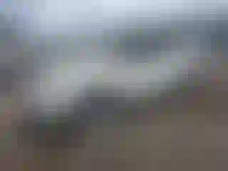 Vehicle Image- 2010 Nissan Murano