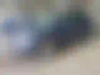 Vehicle Image- 2014 Nissan Murano