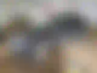 Vehicle Image- 2010 Nissan Murano