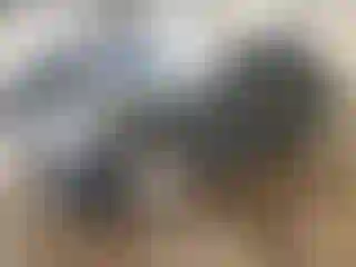 Vehicle Image- 2011 Nissan Murano