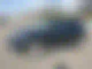 Vehicle Image- 2011 Nissan Murano