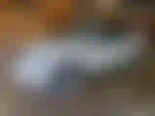 Vehicle Image- 2011 Nissan Murano