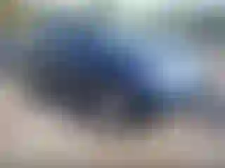 Vehicle Image- 2010 Nissan Murano