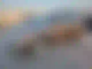 Vehicle Image- 2011 Nissan Murano